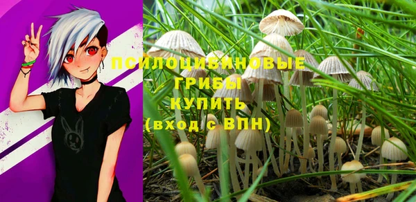 амф Абдулино