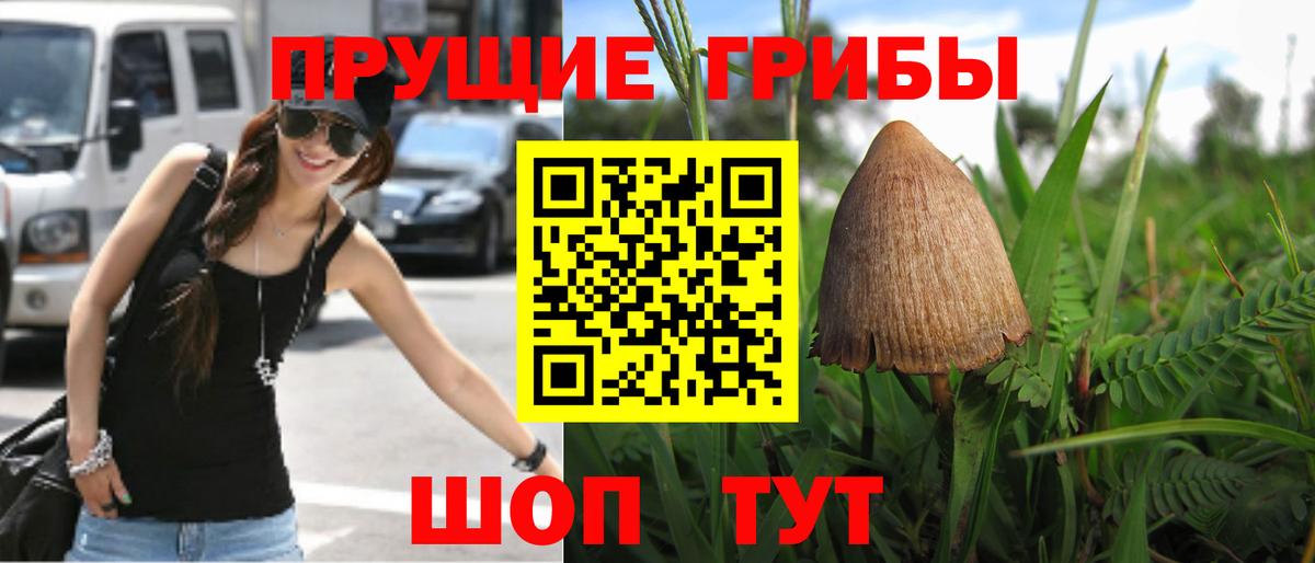 Псилоцибиновые грибы GOLDEN TEACHER  Вход с VPN  Псилоцибиновые грибы Psilocybe  Екатеринбург 